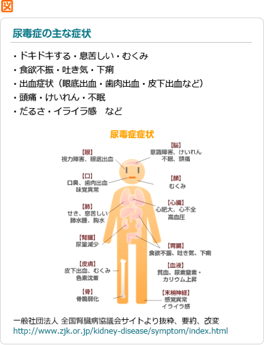 図：尿毒症の主な症状